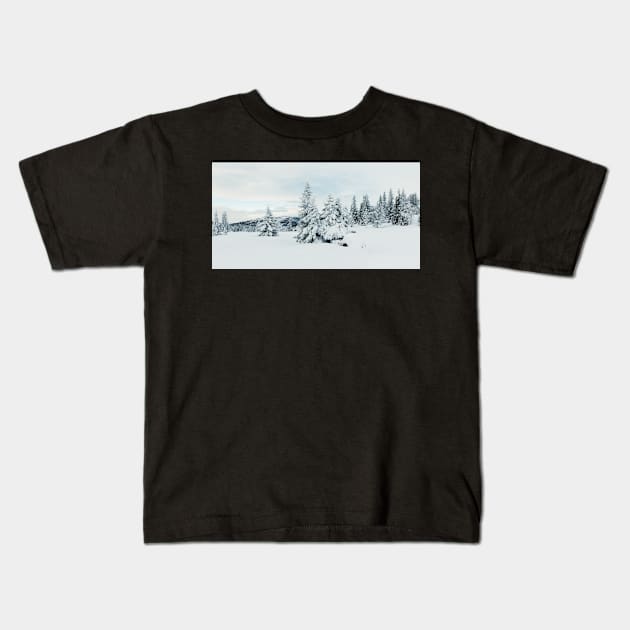 Snow-Covered Fir Trees in Frozen Winter Landscape in Scandinavia Kids T-Shirt by visualspectrum